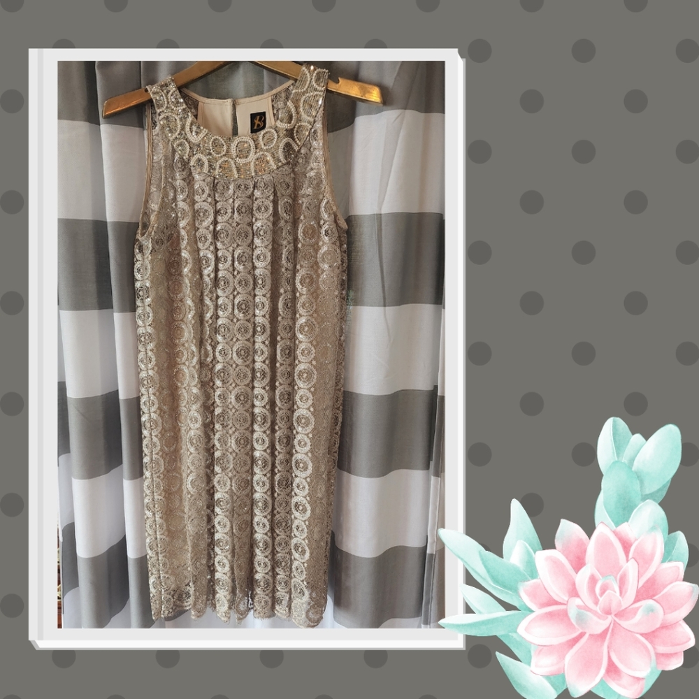 Anthropologie Beaded Neckline Lace Dress